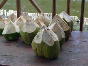 Fresh coconut juice