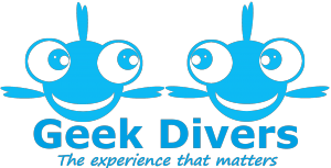 Geek Divers